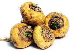 Řeřicha peruánská